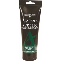 Disc Academy Acrylic 200 ml. Hooker