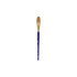 Disc Sapphire Oval Wash Brush S52 3/4
