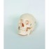 Plastic Skull Adult Size