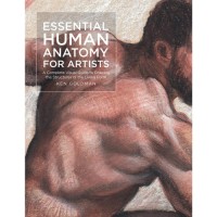 Essential Human Anatomy for Artists: A Complete Visual Guide