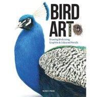 Bird Art Drawings in Graphite and Coloured Pencils by A Woollett