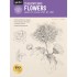 Walter Foster: How to Draw and Paint Drawing: Flowers with William F. Powell