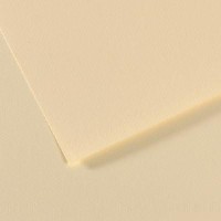 Canson Mi-teintes 19