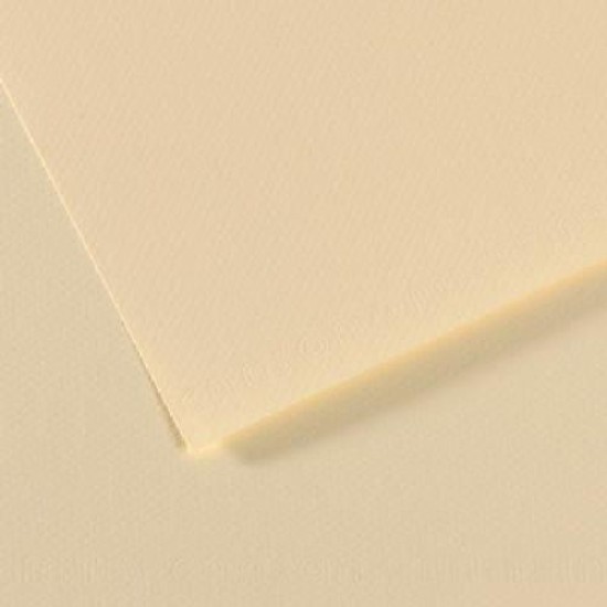 Canson Mi-teintes 19