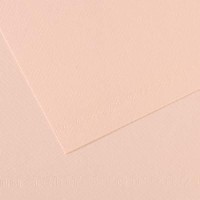 Canson Mi-teintes 19