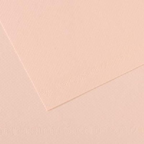 Canson Mi-teintes 19