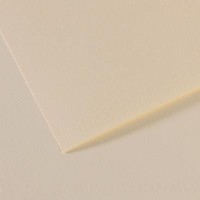 Canson Mi-teintes 19