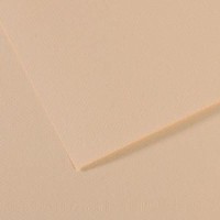 Canson Mi-teintes 19