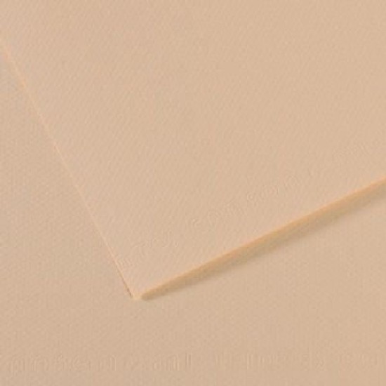 Canson Mi-teintes 19