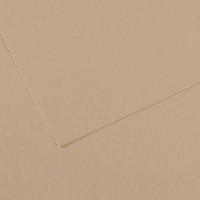 Canson Mi-teintes 19