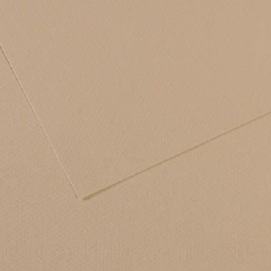 Canson Mi-teintes 19