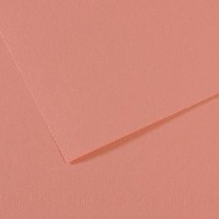 Canson Mi-teintes 19