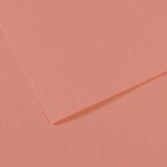 Canson Mi-teintes 19