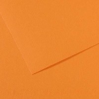 Canson Mi-teintes 19