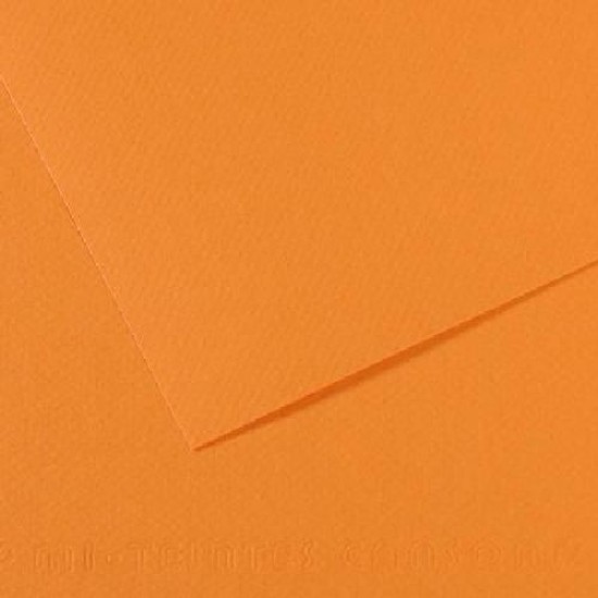 Canson Mi-teintes 19