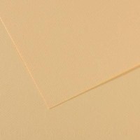 Canson Mi-teintes 19