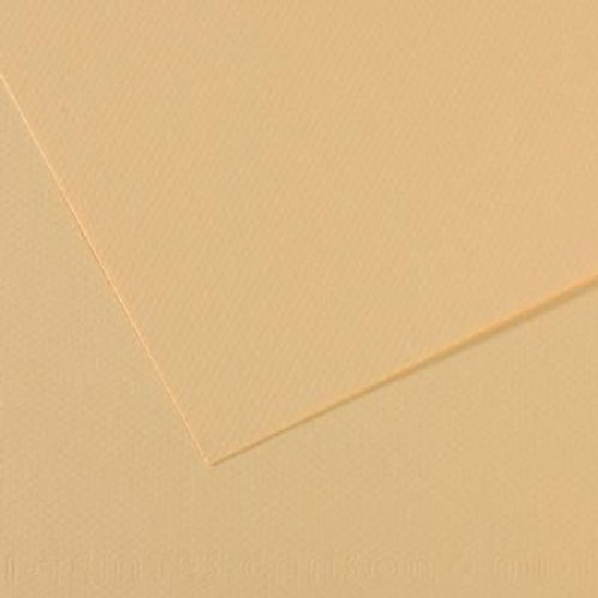 Canson Mi-teintes 19