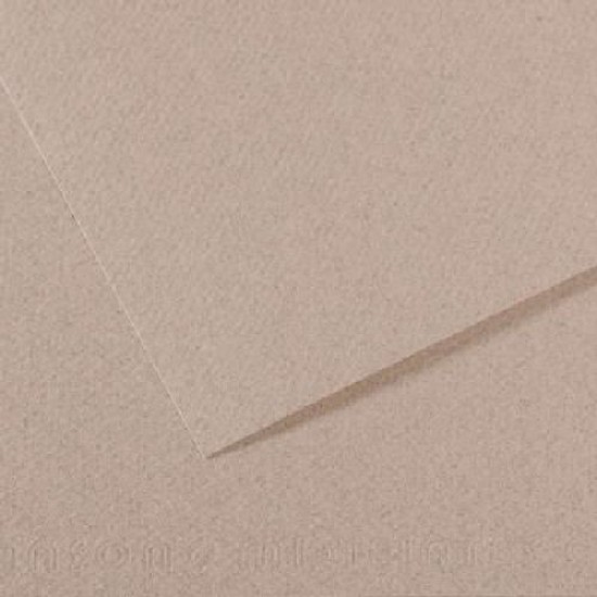 Canson Mi-teintes 19