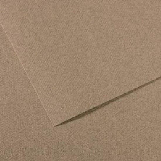 Canson Mi-teintes 19