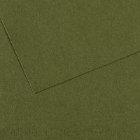 Canson Mi-teintes 19