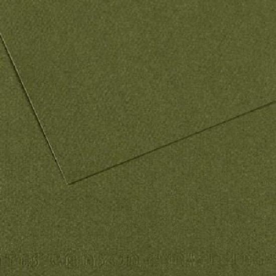 Canson Mi-teintes 19