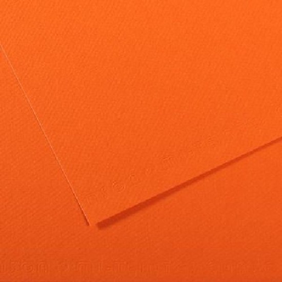 Canson Mi-teintes 19