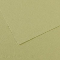 Canson Mi-teintes 19