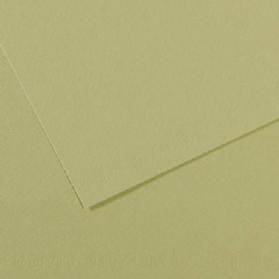 Canson Mi-teintes 19