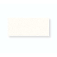 Canson C a Grain Drawing Paper 111 lb./180 gr 19.5