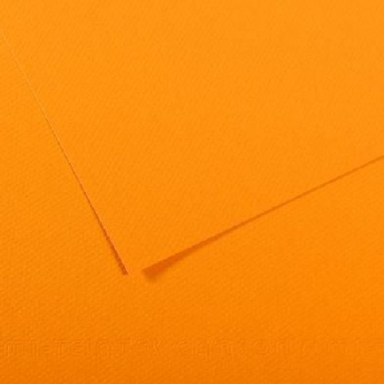 Canson Mi-teintes 19