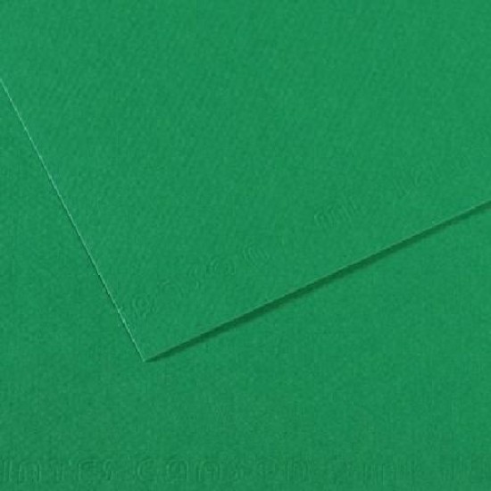 Canson Mi-teintes 19