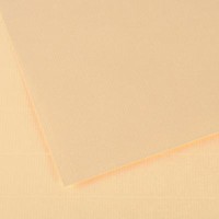Canson Ingres 100 gr 19
