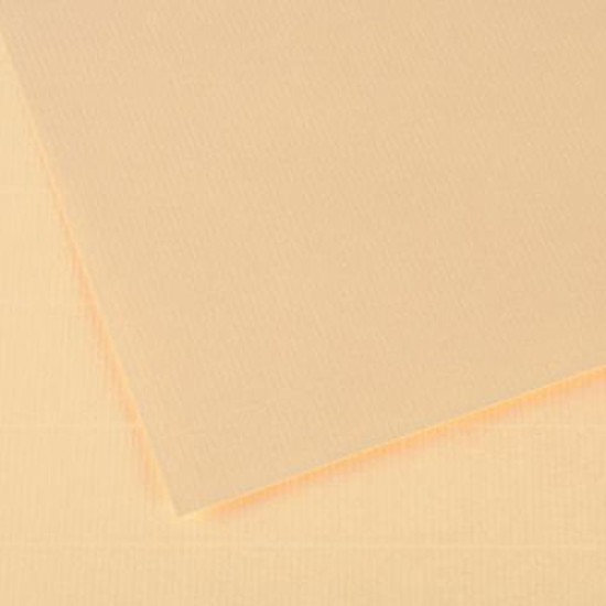 Canson Ingres 100 gr 19