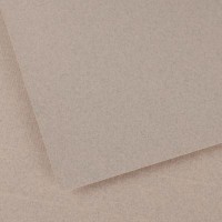 Canson Ingres 100 gr 19