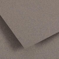 Canson Ingres 100 gr 19