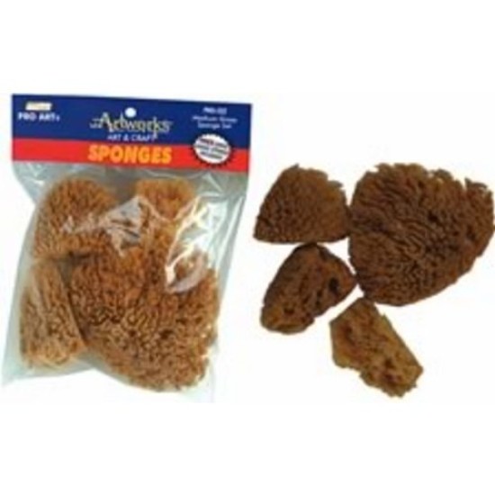 Disc Medium Grass Sponge Set