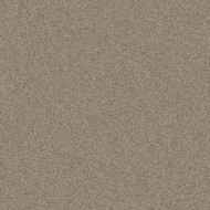 Strathmore Artagain 19