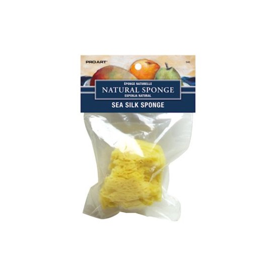 Disc Pro Art Sea Silk Sponge